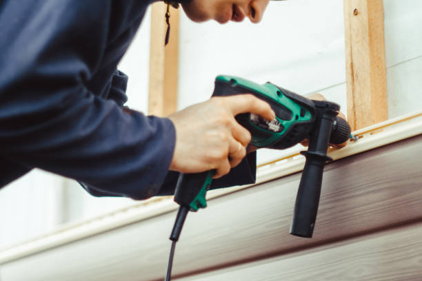 Best Custom Trim and Detailing for Siding  in Crowley Lake, CA